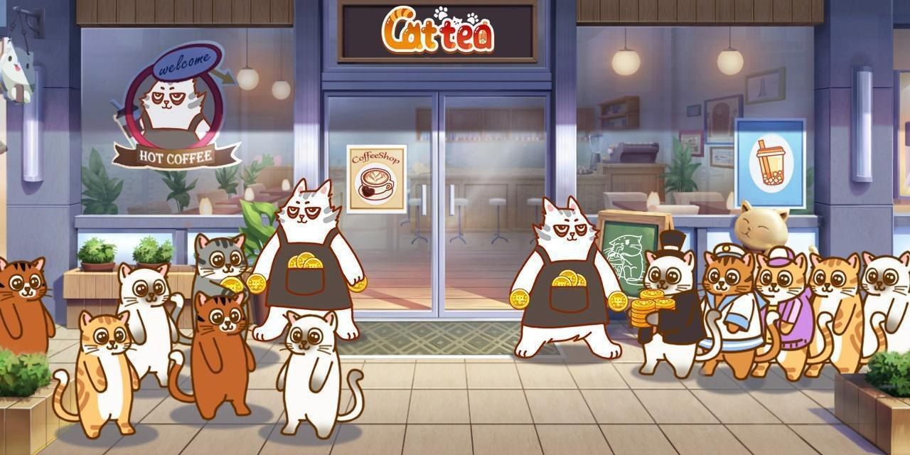 Unlock the Cattea Airdrop