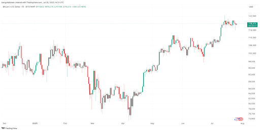 گاوهای بیت‌کوین 'در کنترل' هستند زیرا قیمت BTC به ۱۱۸ هزار دلار بازمی‌گردد